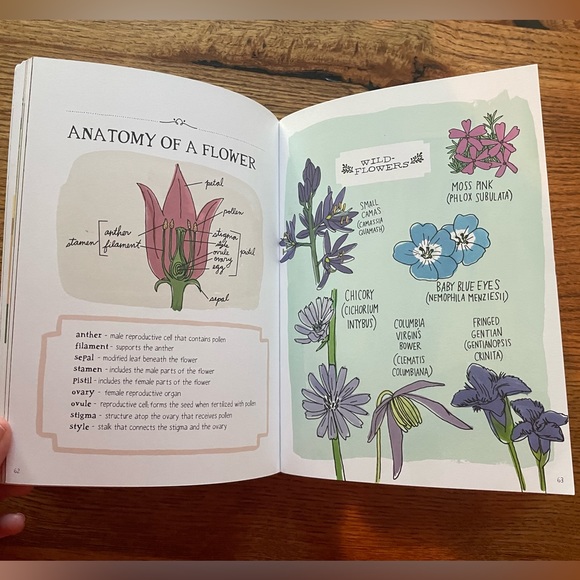 Nature Anatomy by Julia Rothman book. Excellent condition. - Picture 4 of 8